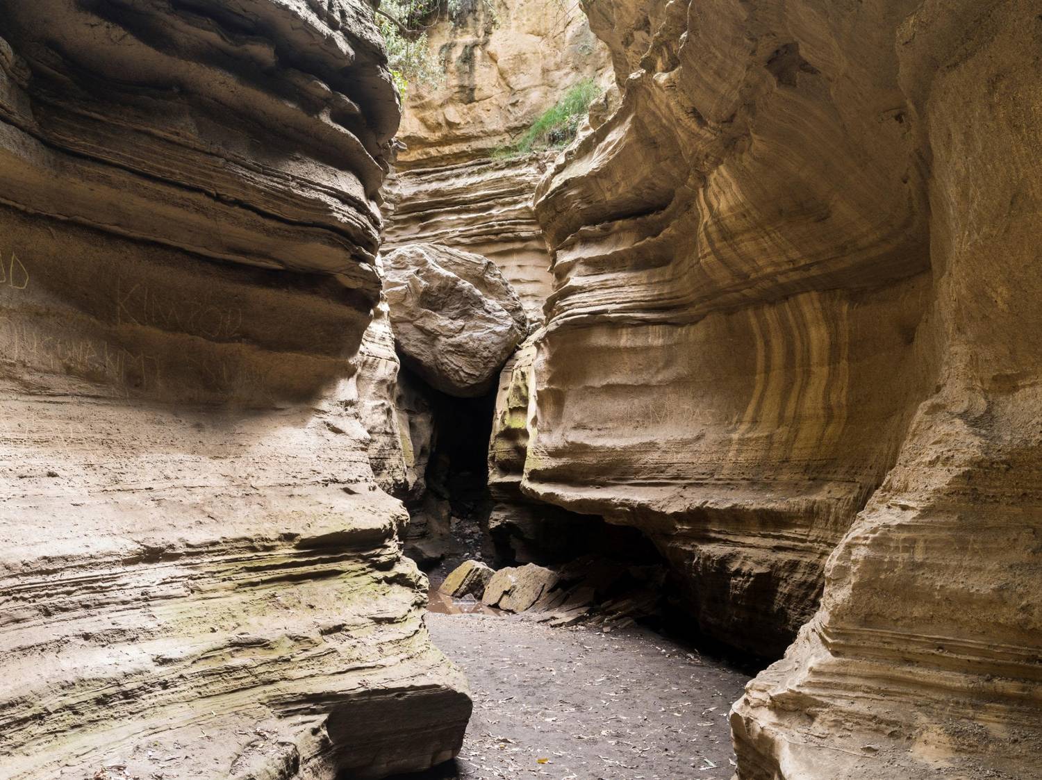 Lake Nakuru Hells Gate Crescent Island Tour